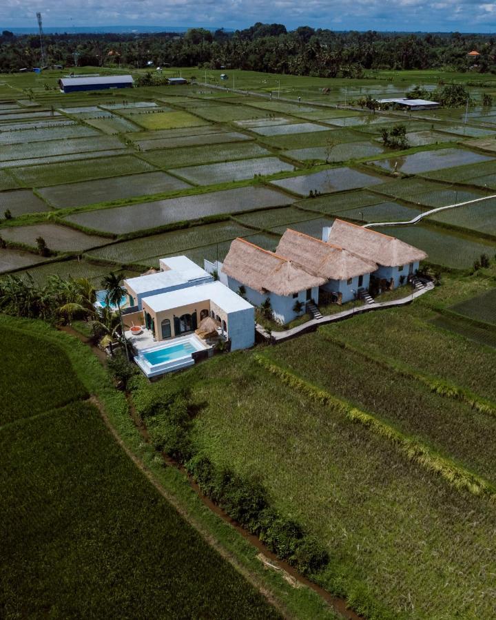 Vila Woywoy Escape Samu (Adults Only) Ubud Exteriér fotografie