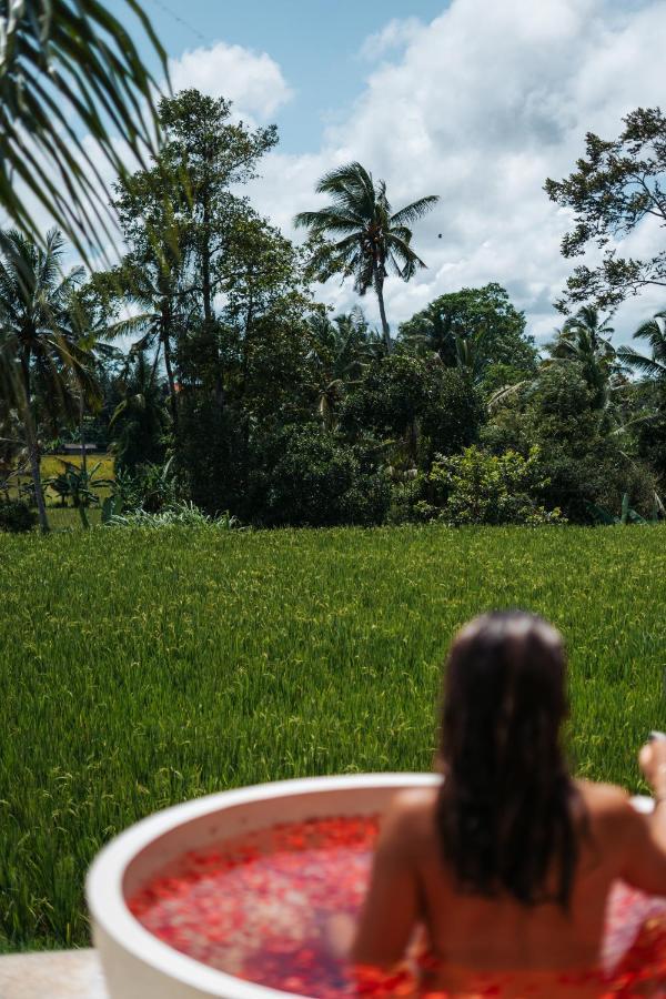 Vila Woywoy Escape Samu (Adults Only) Ubud Exteriér fotografie